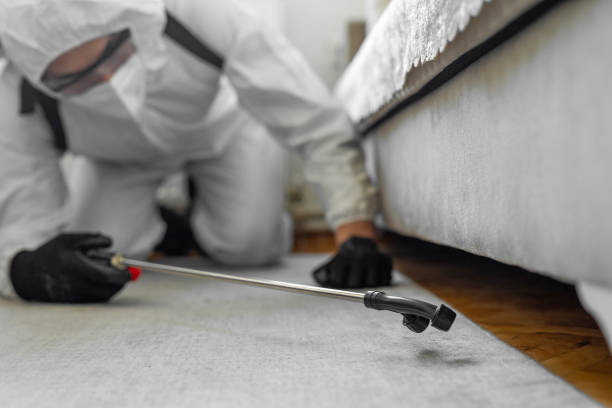 Professional Pest Control technician working in DeKalb County County, MO